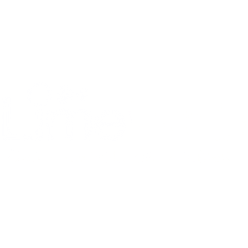 Logo Lime Web